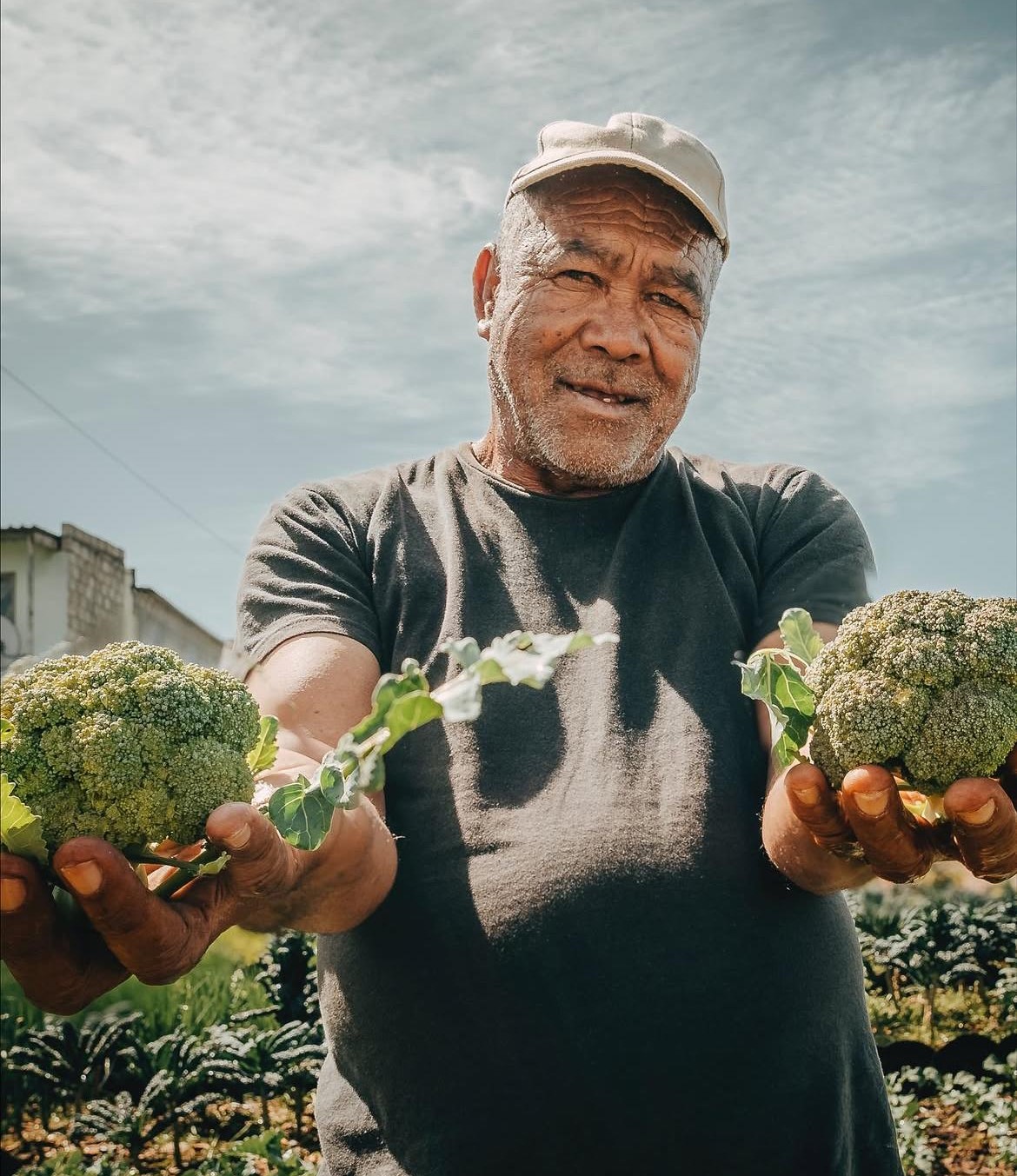 WhatsApp Image 2025-12-03 at 16.04.05_355b1560 WhatsApp Image 2025-12-03 at 16.04.05_355b1560